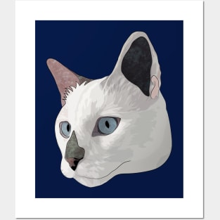 White Cat Posters and Art